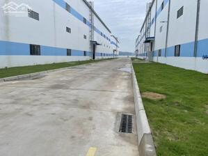 Cho thuê nhà xưởng 12000m2 KCN Vân Trung, độc lập làm EPE . LH 0988 457 392