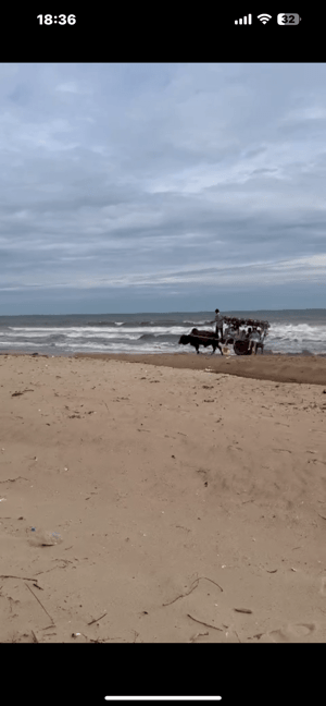 Bán 12,7ha Đất Biển Cam Bình. Đất Dân. Mặt Biển 290m Mặt Tiền Đường Nhựa 321m. Giá Tốt