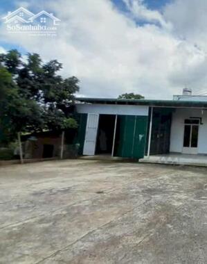 Nợ Nần cần bán Lỗ gấp mảnh vườn 1286m2 có sẵn nhà cấp 4