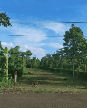 Cần tiền bán gấp lô đất Kim Long, châu đức