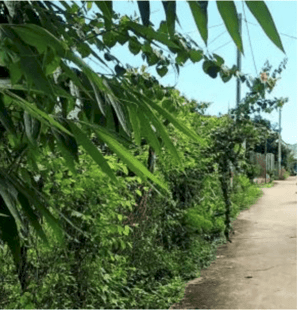 Chủ cần bán lô đất đẹp xã Nghĩa Thành, huyện Châu Đức, tỉnh Bà Rịa -Vũng Tàu