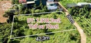 Chỉ 2tỷ52 sở hữu nhanh lô đất 210.4m2 sẵn TC xã Lộc An, Bảo Lâm, Lâm Đồng