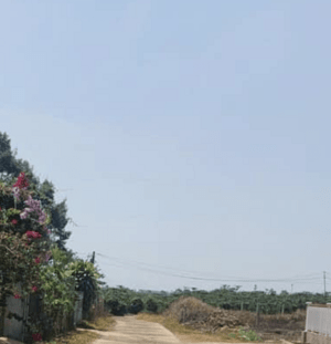 BÁN ĐẤT TẠI LỘC QUẢNG, BẢO LÂM, LÂM ĐỒNG - 4 TRIỆU/m², 500m² ĐẤT TIỀM NĂNG