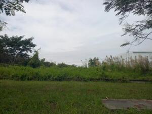 Bán đất xây dựng xưởng 7.9ha KCN Hiệp Phước, Huyện Nhà Bè, Tp HCM