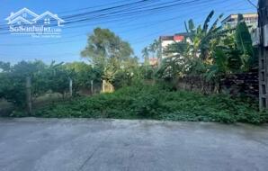 Bán đất thửa 500m2 có 200m2 thổ cư, sổ riêng, giá rẻ đầu tư - đường ô tô tránh