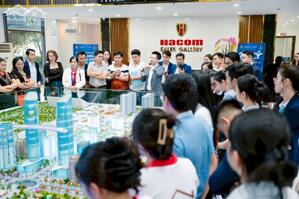 CẬP NHẬT TIẾN ĐỘ DỰ ÁN SIÊU ĐÔ THỊ BIỂN BÌNH SƠN OCEAN PARK NINH THUẬN T12.2024