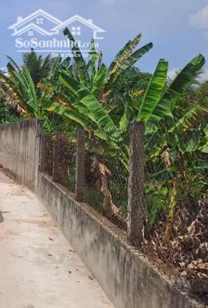 Chủ kẹt lắm rồi bán gấp lô đất đẹp sổ riêng DT 6*29m, có 100m2 thổ cư cách đường Lý Thái Tổ vào 50m