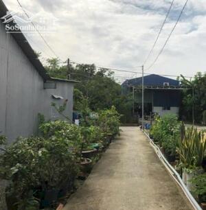 Phú Hội Nhơn Trạch Đồng Nai cần bán lô đất sổ riêng Cách khu công nghiệp Nhơn Trạch chi 2km