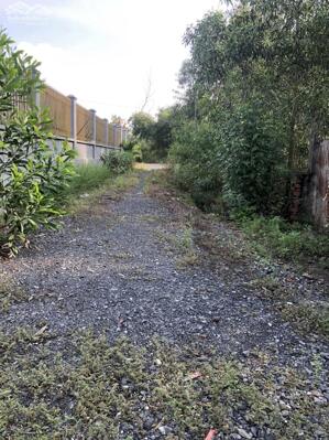 Cần bán nhanh lô đất tọa lạc xã Long An cách ngã 3 Nhơn Trạch chỉ 400m