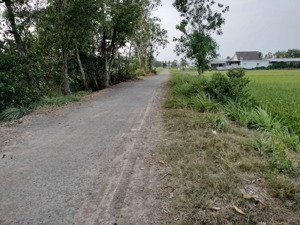bán gấp đất nông nghiệp 3.800m2 tại đa hoà, châu thành(gần chợ hoà lợi). giá 349tr/1000m2