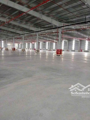 cho thuê kho xưởng huyện bến lức. tỉnh long an