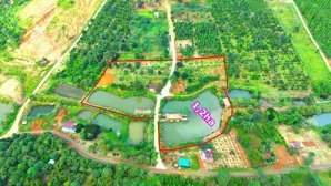 nghỉ dưỡng thong dong nhất thành phố gia nghĩa - đắk nông