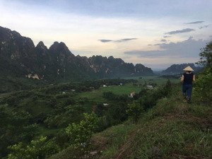 chính chủ cho thuê giá rẻ lâu dài trang trại tại xã liên sơn, lương sơn, hòa bình