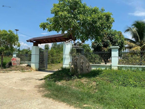 chính chủ cần bán nhà vườn 3500m2 sẵn sổ bao sang tên công chứng bán đủ 600 triệu