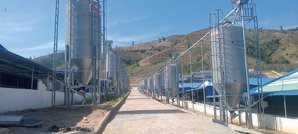 bán trại heo công nghệ cao, có hợp đồng thuê 1,08 tỷ/tháng hợp đồng thuê 15 năm, giá bán 119 tỷ