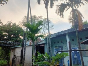cho thuê nhà nguyên căn, có gác, có sân để ô tô, gần chợ long toàn, tp bà rịa