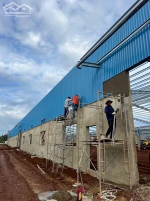 Cho thuê kho xưởng 27000m2 KCN Phú Mỹ 1, Phường Phước Hòa, Tx Phú Mỹ, BRVT