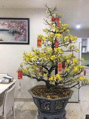 chủ nhà cho thuê cc lakai nguyễn tri phương q.5. dt 70m2 2p, 2wc. giá chỉ 9tr. lh 0899171324