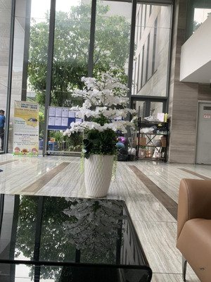 cho thuê gấp văn phòng 105m2 tại xi grand court, 25 triệu, quận 10, hcm