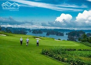 Chuyển nhượng Dự án Sân golf 18 hố FLC Hạ Long Golf Club & Resort Quảng Ninh - LH 0963132178