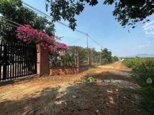 bán nhà vườn long phước, đường 89 diện tích 1.600m