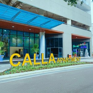 giỏ hàng nội bộ - tổng hợp các quỹ căn view biển đẹp nhất tại the calla quy nhơn 2025