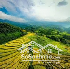 bán đất , tiềm năng tại lương sơn vị trí: thôn đồng kẹ, xã cao dương, huyện lương sơn.