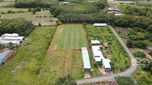 4500m2 đường nhựa thông vào kcn. dân đông. 2,65 tỷ