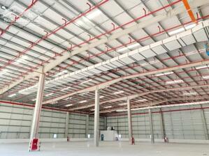 Cho thuê xưởng 3000m2-15000m2 KCN Xuyên Á, Mỹ Hạnh Bắc, Huyện Đức Hòa, Long An