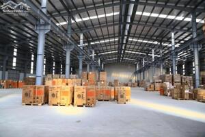 Cho thuê nhà xưởng trong KCN Long Giang, Tân Phước, Tiền Giang