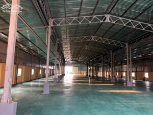 Cho thuê nhà xưởng mới xây dựng huyện Tân Phước, tỉnh Tiền Giang.