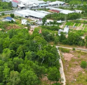 Siêu phẩm 120m2 đất vàng trung tâm Dương Tơ có sẵn thổ cư