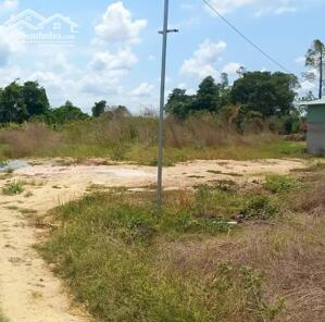 Bán lô đất nhà vườn 532m2 - 15mx36m - Châu Pha - thị xã Phú Mỹ - BRVT