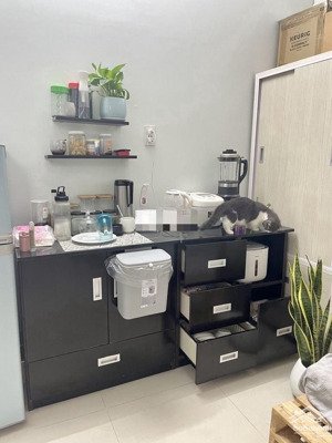 cho thuê nhà 2 mt đội cung, p.11, quận 11, giá 15 triệu/th 44m2