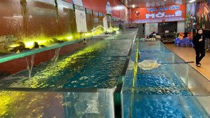 cần sang mặt bằng bán hải sản tươi sống mạc đĩnh chi, 17 triệu, 100m2, mặt tiền 5m