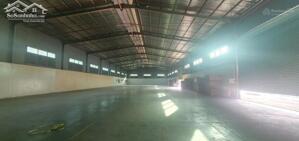 Cho thuê kho hoặc xưởng 1000m2 phường Tân Đông Hiệp, Dĩ An, Bình Dương LH : 0908 954 129