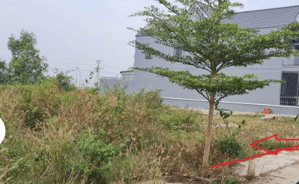 Đất Tân Hòa sẵn 100TC giá bao thị trường