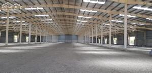 Cho thuê nhà xưởng mới xây dựng huyện Tân Phước, tỉnh Tiền Giang.