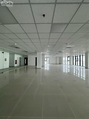 Thuê Văn Phòng Chuyên Nghiệp - Giá Cả Hợp Lý Tại Cần Thơ