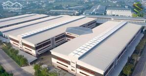 Cho Thuê Xưởng 24.000m² Tiêu Chuẩn Quốc Tế tại Điện Bàn, Quảng Nam – Mới Xây, Kiên Cố, Hiện Đại