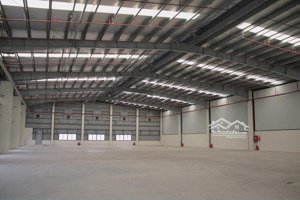 cho thuê kho ccn tân an bmt 2100m2 kho 1000m2 sân bãi