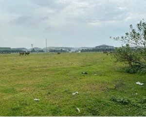 bán đất kcn sống thần bình dương.liên hệ 0366632092