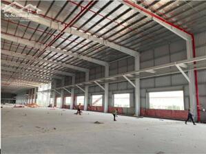 Cho thuê nhà xưởng mới xây dựng huyện Tân Phước, tỉnh Tiền Giang.