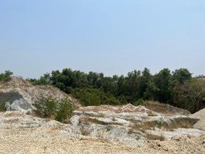 cần bán gấp 6,8ha đất cln cam phúc bắc, cam ranh giá rẻ