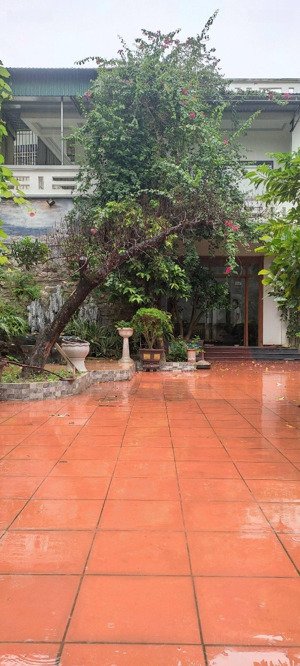 bán nhà vườn trung tâm tp sầm sơn