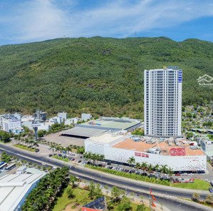 chỉ từ 1,45 tỷ - sở hữu căn hộ 2pn view biển tầng cao the calla quy nhơn (giá bán mới nhất 2025)