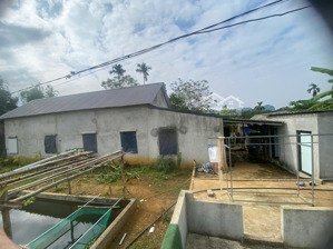 cứu cọc gấp - nhà mới xây cần bán dt 617m2 đầy đủ tiện nghi chỉ cách hà nội 75km