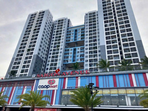 cho thuê căn hộ 2 pn. diện tích 62m2. 2pn. giá 7tr500