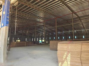cho thuê nhà xưởng khu vực bình phước