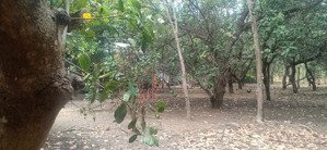 bán 496.2m2 (150m2 thổ cư) mặt tiền 10m đường rộng 5m lk kcn đồng xoài 2 và 3 giá 2.68 tỷ